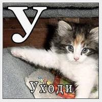 AP1GczN6o6LrS9PsSOSmxY5sPluP5DNHzZP7nYlvQsMwcyNJ8gBw0JHwlg9z=w200-h200-s-no-gm?authuser=2