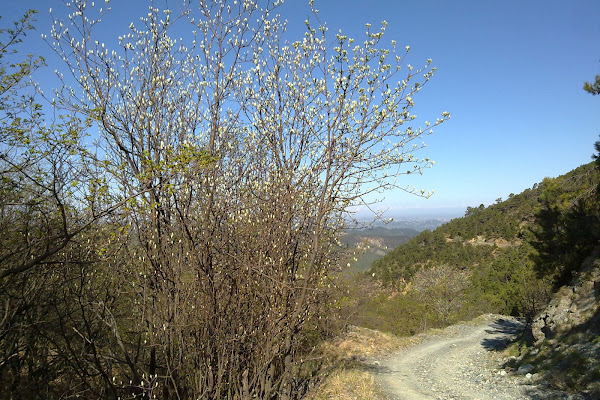 MTB Ovada Capanne di Marcarolo Campo Ligure