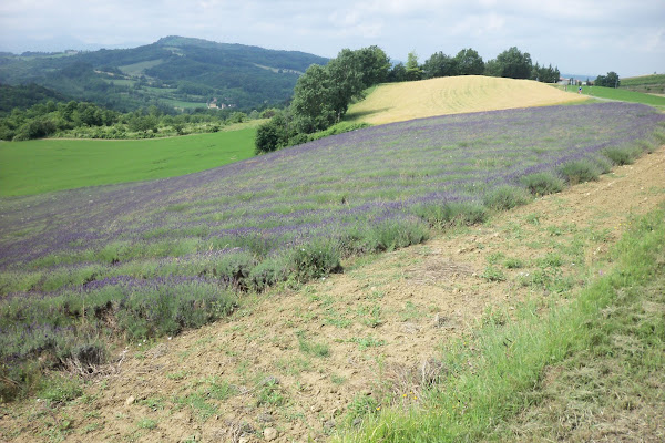 Colori delle valli Tortonesi